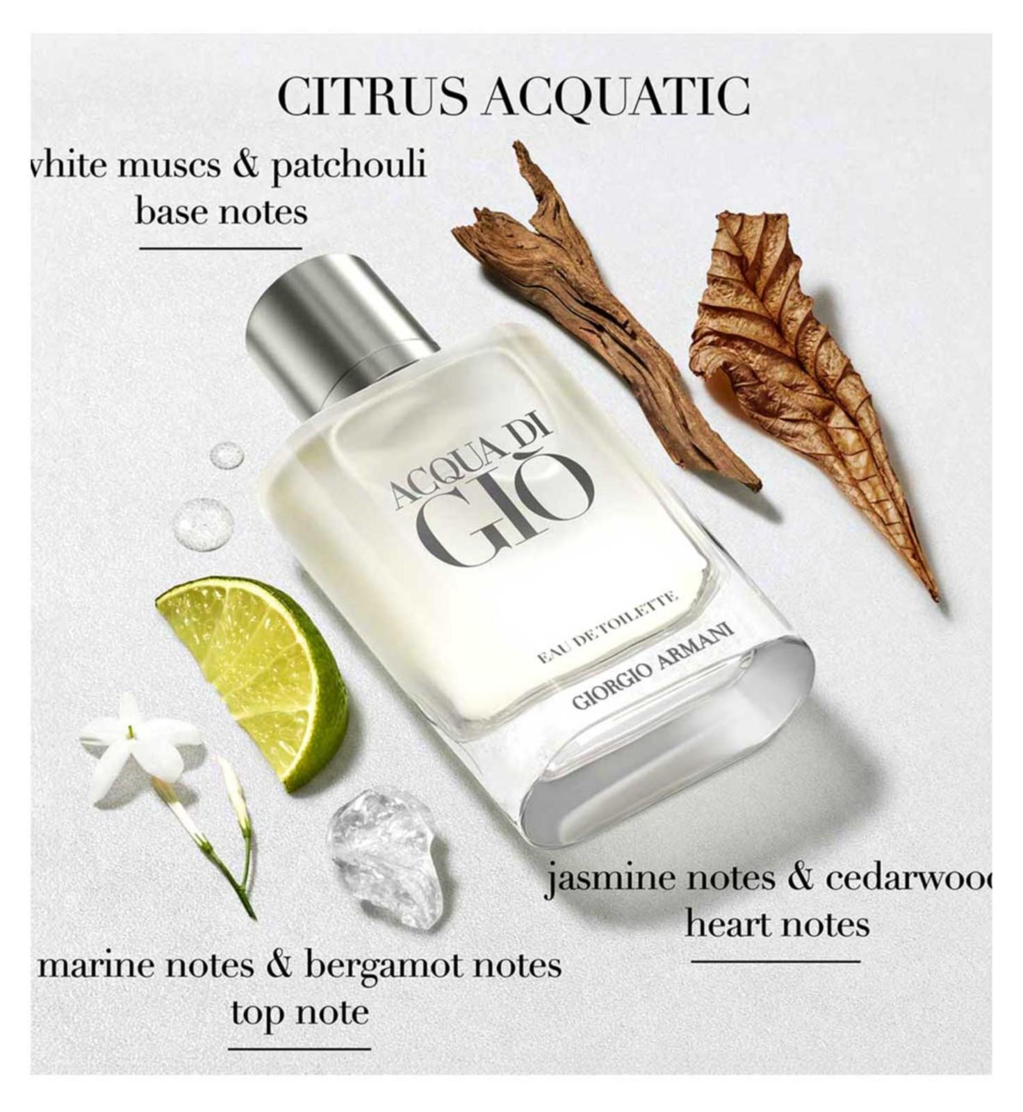 Giorgio Armani Acqua di Giò Eau de Toilette Spray for Men 100ml