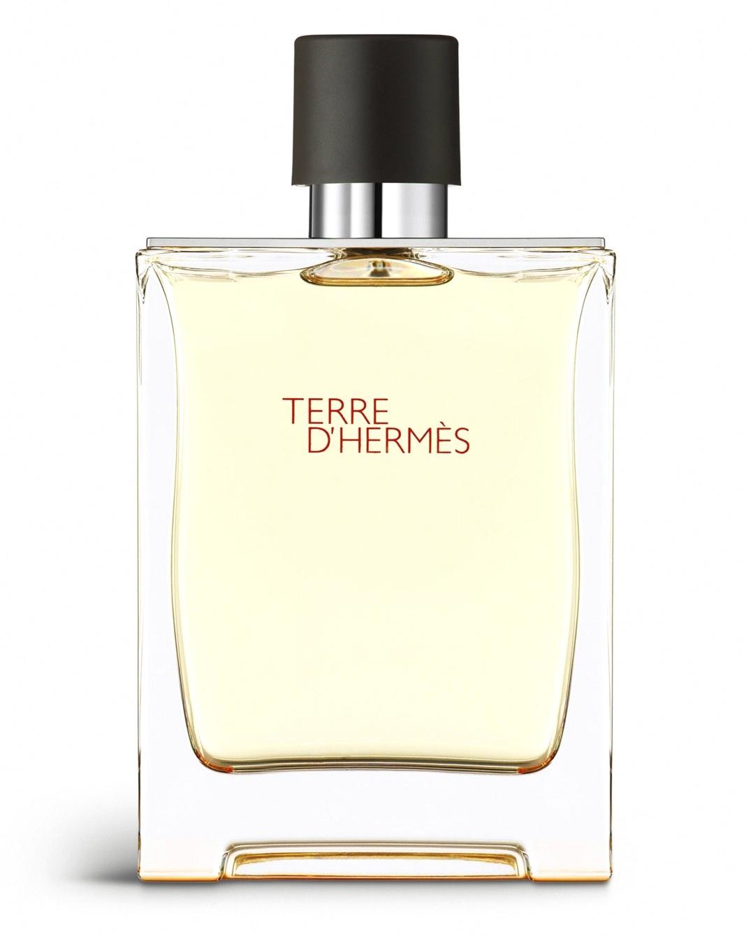 Hermès Terre d'Hermès Eau de Toilette Spray for Men 100ml